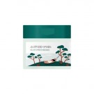 Round Lab Pine Calming Cica Pad thumbnail