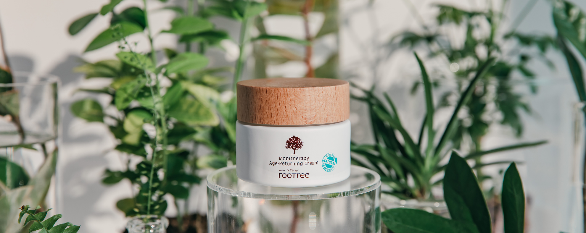 rootree - Koreansk hudpleie